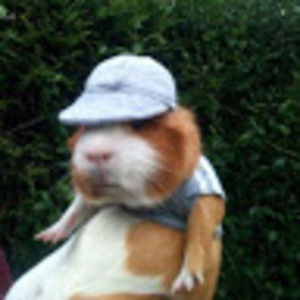 Meet your Posher, Aimee